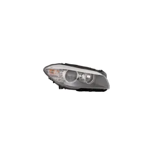 VAN WEZEL Phare avant pour BMW: Série 5 (Ref: 0617962)