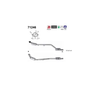AS 71246 Catalyseur