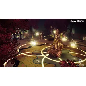 Raw Data (clé Steam, monde entier)