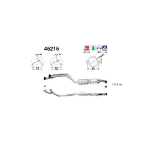 AS 45215 Catalyseur