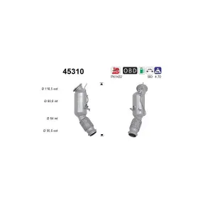 AS 45310 Catalyseur