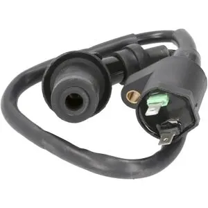 Bobine allumage 101 Octane 21020414