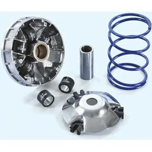 Variateur Polini 1152821