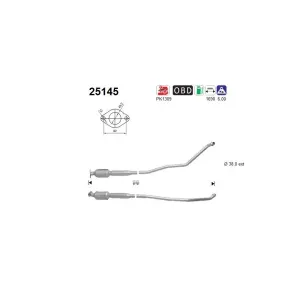 AS 25145 Catalyseur