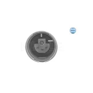 MEYLE Capteur ABS pour MINI: MINI (Ref: 314 899 0095)