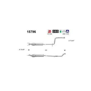 AS 15796 Catalyseur
