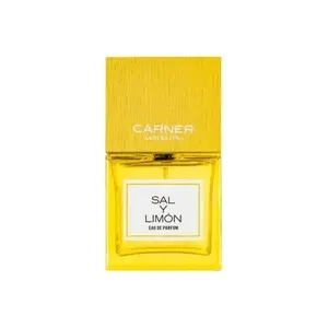 Sortez et citron 100 ml