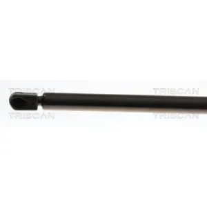 Triscan A/S Vérin pour MINI: MINI (Ref: 8710 17101)