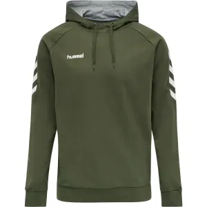 Sweat à capuche Hummel hmlGO