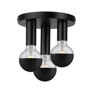 Paulmann 79761 Plafonnier E27 noir
