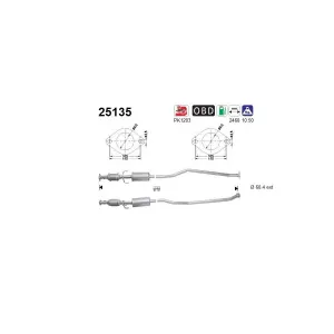 AS 25135 Catalyseur