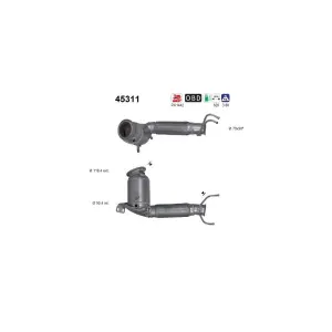 AS 45311 Catalyseur