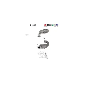 AS 71306 Catalyseur