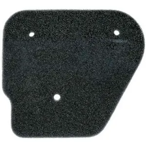 Filtre à air Bihr
