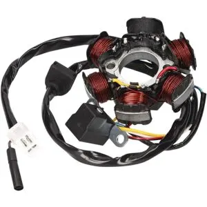 Stator d'allumage 101 Octane 21121418