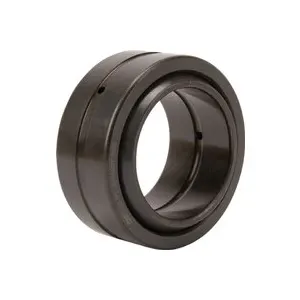 INA Palier pivotant radial GE60-DO