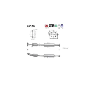 AS 25133 Catalyseur