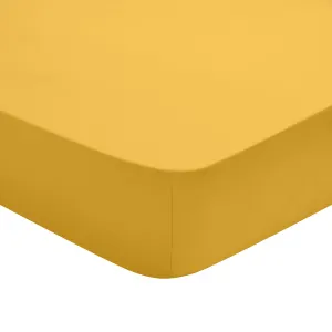 Drap housse studio coton jaune