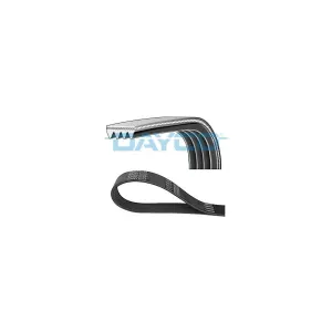 Multi-Couronnes Dayco 4pk1755 Daihatsu