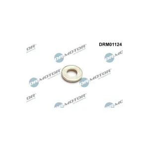 Plaques De Combustion, Système D'Injection Dr. Motor Drm01124 Citroen;Peugeot
