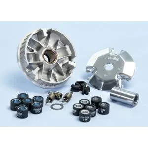 Variateur Polini 1012446