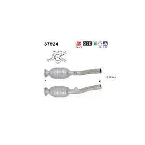 AS 37924 Catalyseur