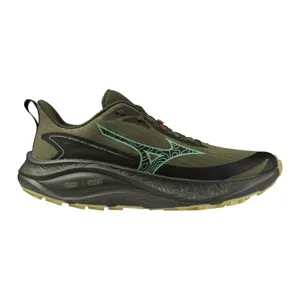 Chaussures de running femme Mizuno Neo Lumina GTX