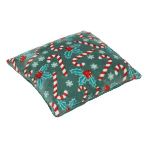 Coussin Déco Noël Houx 40x40cm Vert