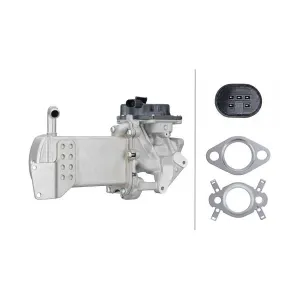 HELLA 6NU 358 167-061 Module-EGR