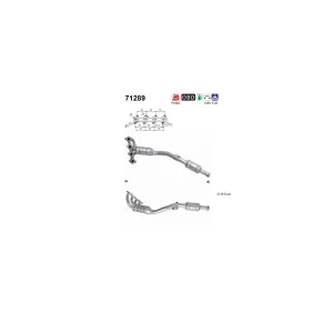 AS 71289 Catalyseur