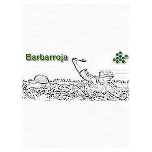 Barbarroja (clé Steam, monde entier)
