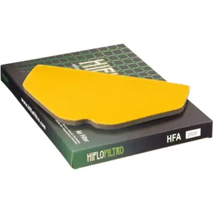 Filtre à air HIFLO HFA2909