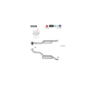 AS 30226 Catalyseur