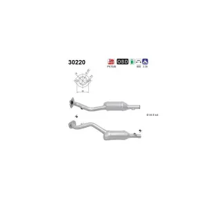AS 30220 Catalyseur