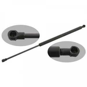 FEBI BILSTEIN Vérin pour LEXUS: GS (Ref: 29285)