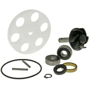 Kit réparation pompe à eau 101 Octane 09320243
