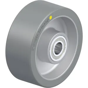 Roue Polyuréthane Extrathane Alth 100_15k-as