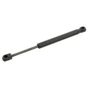 FEBI BILSTEIN Vérin pour FORD: Focus (Ref: 27770)