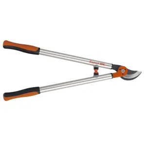 Ebrancheur Expert 60cm