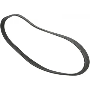 CONTITECH 5PK1125 Courroie Poly-V