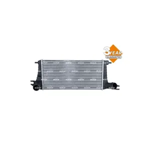 NRF B.V. Intercooler, échangeur pour MINI: MINI (Ref: 309089)