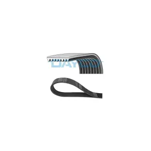 DAYCO 8PK1331HD Courroie Poly-V