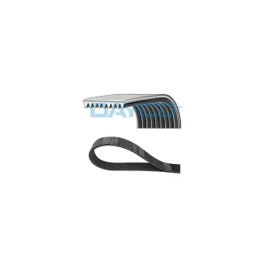 DAYCO 9PK2835HD Courroie Poly-V