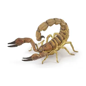 50209 - Insectes - Scorpion