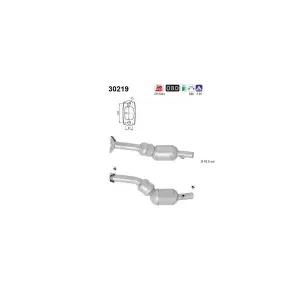 AS 30219 Catalyseur