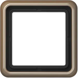Jung simple Cadre Cache bronze CD581GB 1 pc(s)