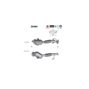 AS 20494 Catalyseur
