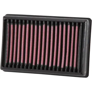 K&N Engineering, Inc. Filtre à air (Ref: BM-1113)