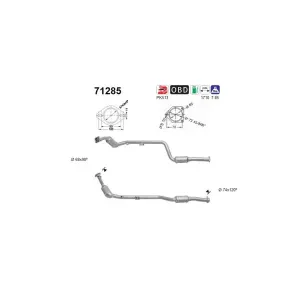 AS 71285 Catalyseur