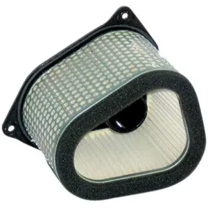 Filtre à air HIFLO HFA3906